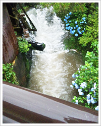 雨の小鹿田 皿山